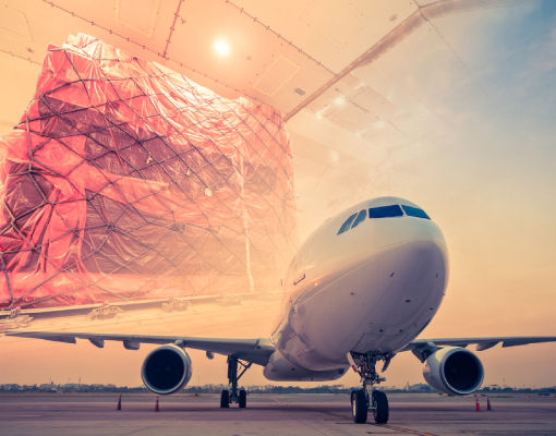 Air freight operations at TRANS APEX